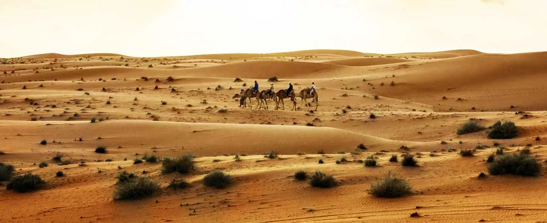 Sultanat d'Oman : Wadis, montagne et désert - 8 jours